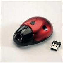 wireless ladybird mouse ideal for children | Quzo UK