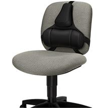 FELLOWES Seat cushion | Fellowes Back Support for Office Chair  Professional Series Ultimate