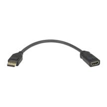 JEDEL Video Cable | Jedel DisplayPort Male to HDMI Female Converter Cable, Black