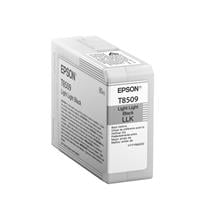 Epson Singlepack Light Light Black T850900 | In Stock