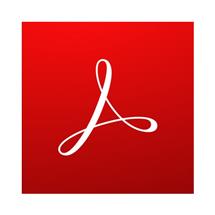 Adobe Acrobat Pro 2020 Desktop publishing Academic English