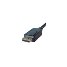 DP Building Systems 266120 video cable adapter 2 m DisplayPort DVID