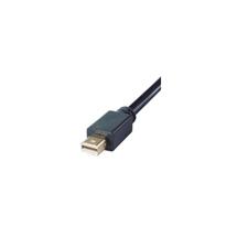 DP Building Systems 267198 video cable adapter 2 m Mini DisplayPort