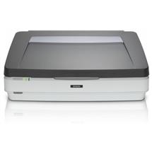Epson Expression 12000XL Pro 2400 x 4800 DPI Flatbed scanner Grey,