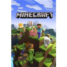 Microsoft Minecraft for Xbox One Standard English | Quzo UK