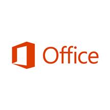 Microsoft Office Professional 2019 1 license(s) Multilingual
