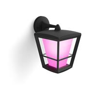 Econic Outdoor Wall Light | Philips Hue White and colour ambience Econic Outdoor Wall Light