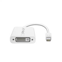 PNY Mini DisplayPort - DVI White | Quzo UK