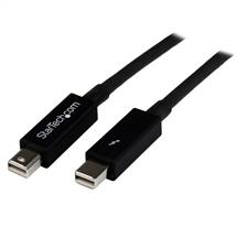 StarTech.com 0.5m Thunderbolt Cable - M/M | Quzo UK