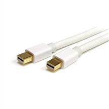 Displayport Cables | StarTech.com 6ft (2m) Mini DisplayPort Cable  4K x 2K Ultra HD Video