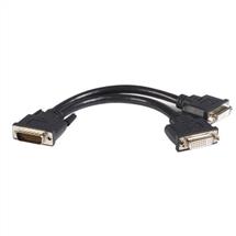 Video Cable | StarTech.com 8in LFH 59 Male to Dual Female DVI I DMS 59 Cable