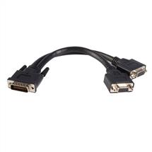 Video Cable | StarTech.com 8in LFH 59 Male to Dual Female VGA DMS 59 Cable