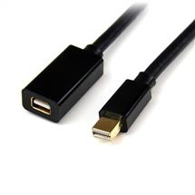 StarTech.com 3ft (1m) Mini DisplayPort Extension Cable  4K x 2K Video