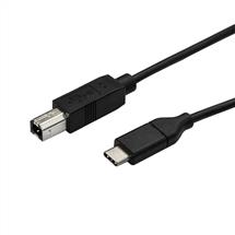 StarTech.com USBC to USBB Printer Cable  M/M  3 m (10 ft.)  USB