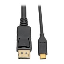 USBC to DisplayPort Active Adapter Cable (M/M), 4K 60 Hz, 10 ft. (3.1