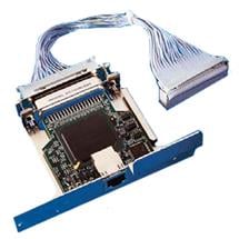 Blue, Purple | Zebra ZebraNet 10/100 Print Server Internal 100 Mbit/s