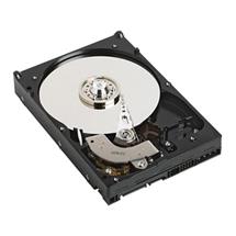 1TB Hard Drive | DELL 400-AFYB internal hard drive 3.5" 1000 GB Serial ATA III