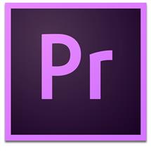 Adobe Premiere Pro 1 license(s) Electronic Software Download (ESD)