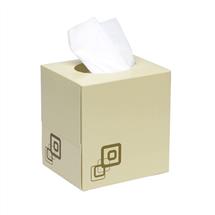 ValueX Facial Tissues | ValueX Facial Tissue Cube 2 Ply 70 Sheet White (Pack 24)