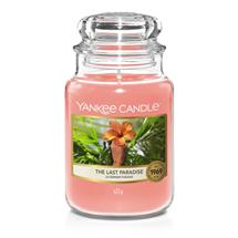 YANKEE CANDLE Wax Candles | Yankee Candle The Last Paradise wax candle Round Pink 1 pc(s)