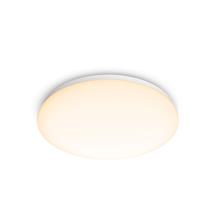 Philips Functional Moire Ceiling Light 17 W | In Stock