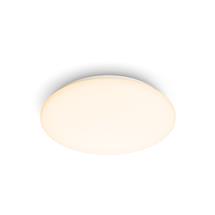 Philips Functional Moire Ceiling Light 10 W | In Stock