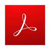 Adobe Acrobat Pro. License term in months: 12 month(s), Software type: