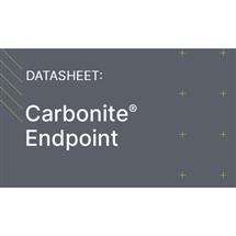 Carbonite Gmbh | Carbonite END16214999 software license/upgrade Volume License (VL) 1