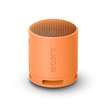 Sony Speakers - Bluetooth | Sony SRSXB100  Wireless Bluetooth Portable Speaker, Durable IP67