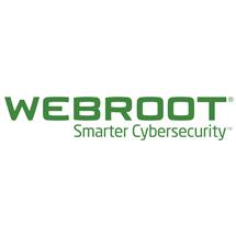 Webroot Antivirus Security Software | Webroot SecureAnywhere Business, DNS Protection Volume License (VL) 1