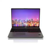 Fujitsu LIFEBOOK U7613 Laptop 40.6 cm (16") WUXGA Intel® Core™ i5