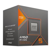 AMD Ryzen 5 8600G processor 4.3 GHz 16 MB L3 Box | In Stock