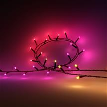 Philips Hue White and colour ambience Festavia string lights